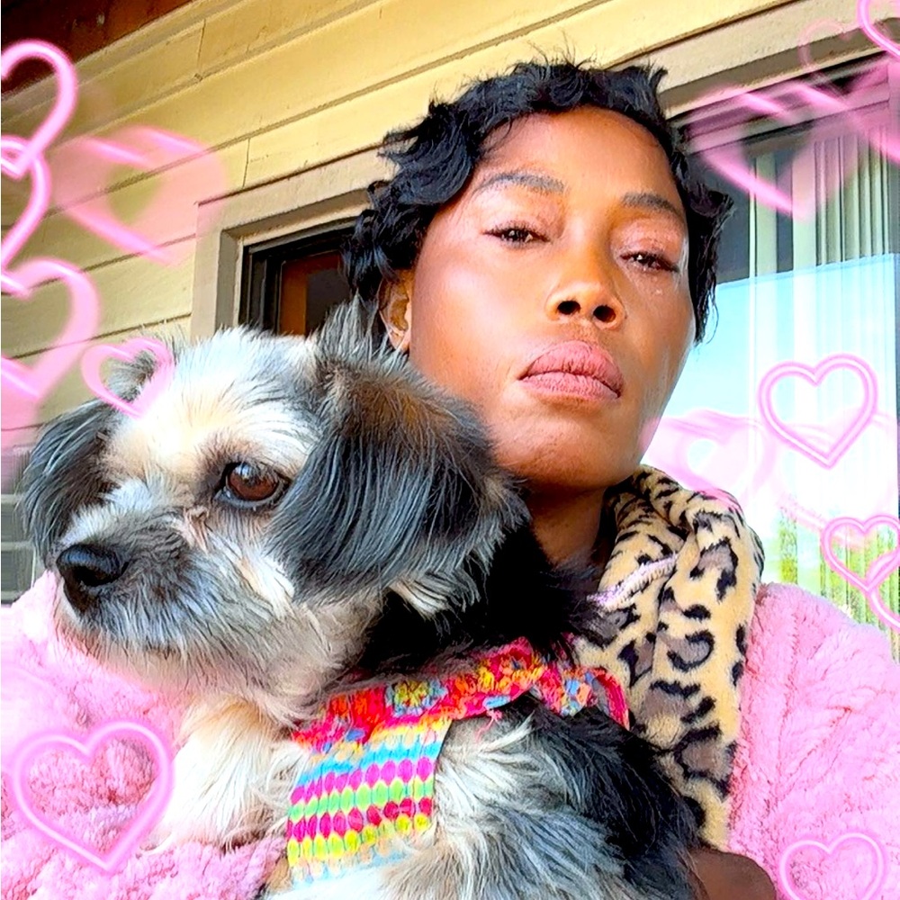Colorful Dog Harness, this is not for sale. Meet the African princess
